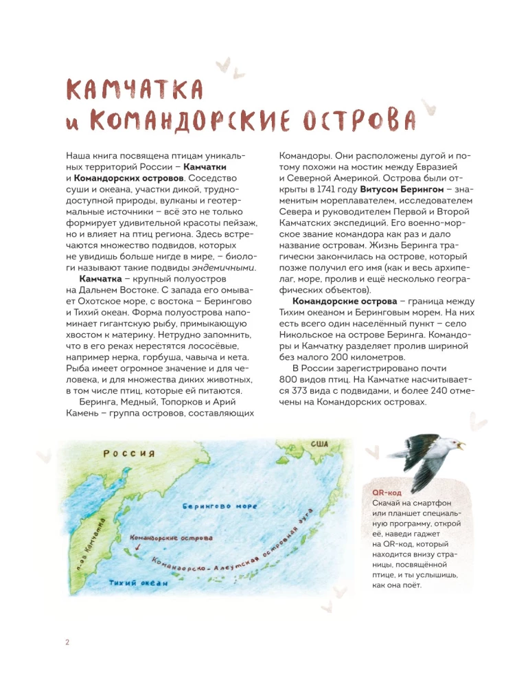 Putni Kamčatkā un Komandoru salās. Kur atrast un kā atpazīt